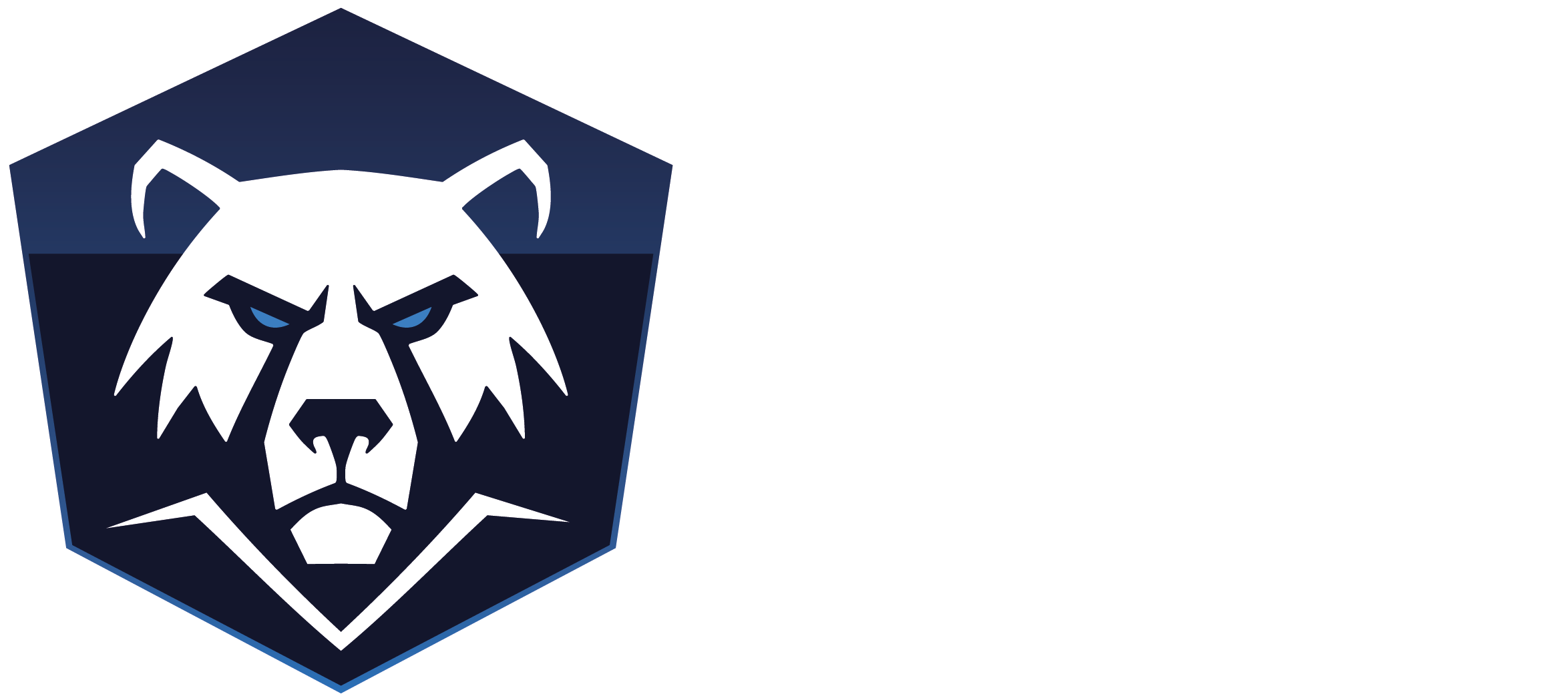 BearAntiCheat